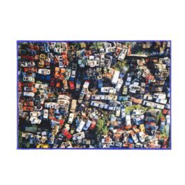 Art beyond the wall: Giannini’s aerial images become rugs
